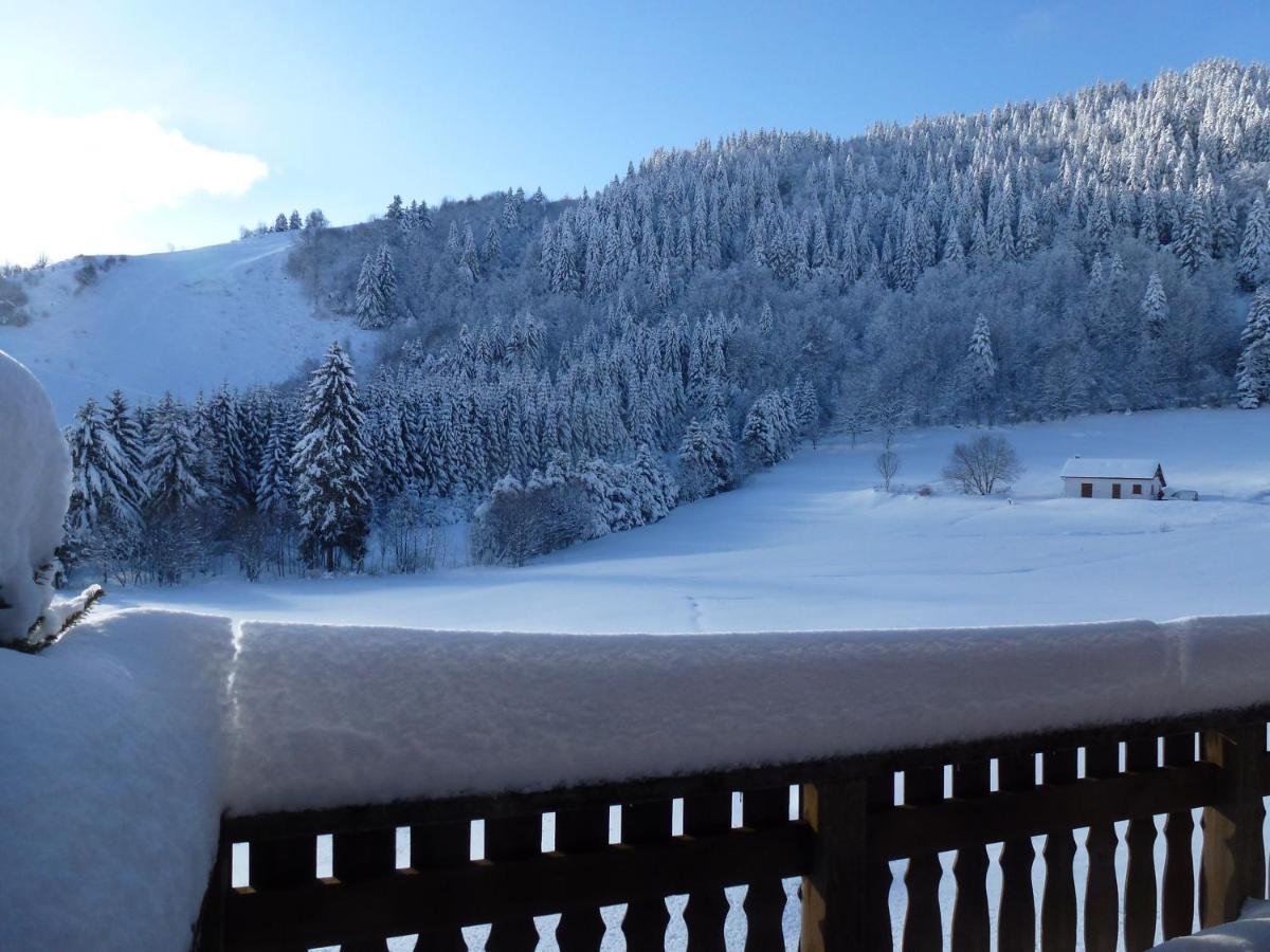 La Bresse Hautes Vosges Chalet "Le Piena" Buitenkant foto